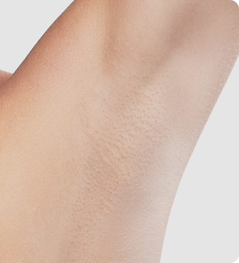 Group 1171276971 Group 1171276971